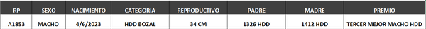 Lote LOTE 47- BOZAL