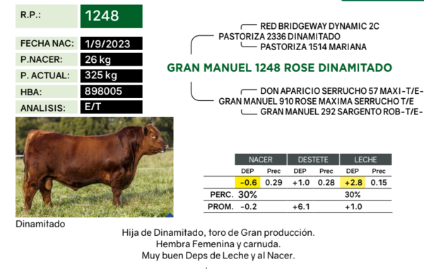 Lote Terneras PP