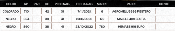 Lote "TRES MOLINOS"  TOROS  P.C.