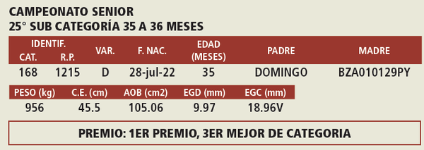 Lote LOTE 9