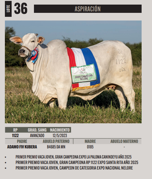 Lote LOTE 36