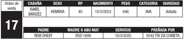 Lote LOTE 17