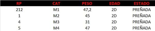 Lote LOTE 37