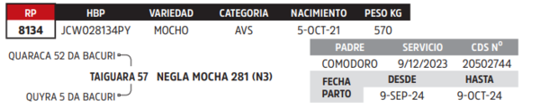 Lote LOTE 37