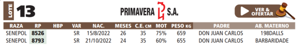 Lote LOTE 13