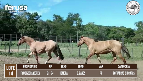 Lote LOTE 14 DE CAMPO