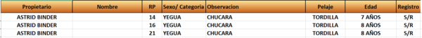 Lote LOTE 29