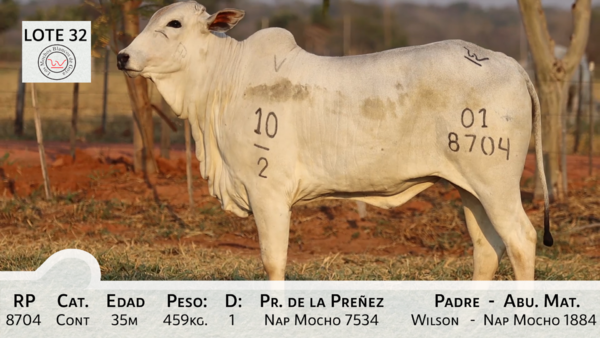 Lote LOTE 32