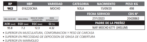 Lote LOTE 29