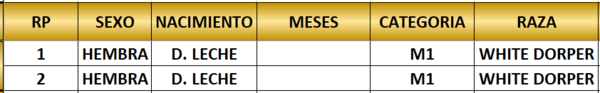 Lote LOTE 31