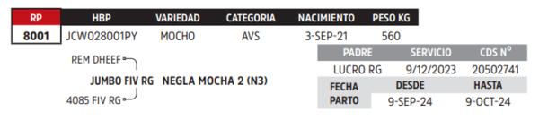 Lote LOTE 82