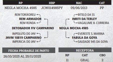 Lote LOTE 5- PREÑECES