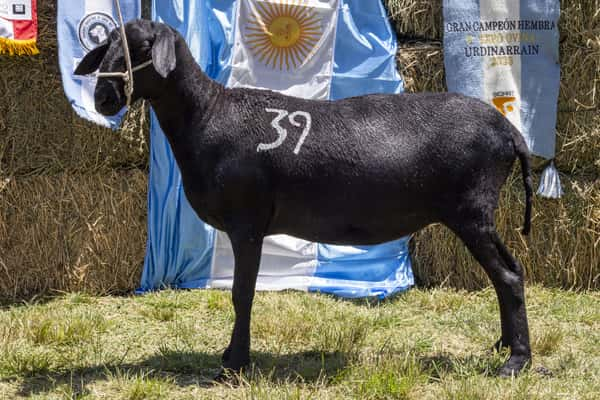 Lote SANTA INES P.P.C.