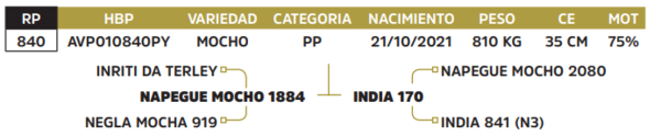 Lote LOTE 15