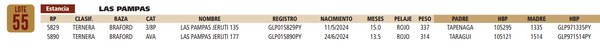Lote LOTE 55