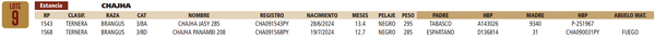 Lote LOTE 9