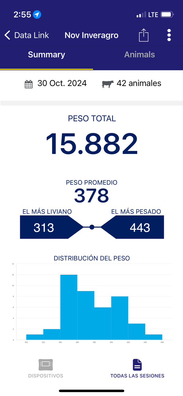 Lote 42 Novillos 1 a 2 años