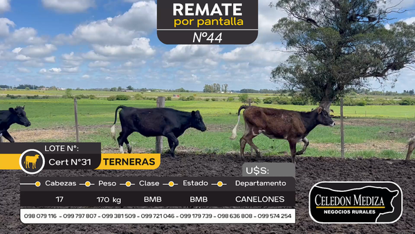 Lote 17 Terneras en Santa Lucía del Este, Canelones