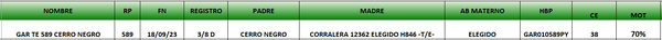 Lote LOTE 37