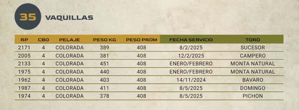 Lote LOTE 35