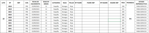 Lote LOTE 10