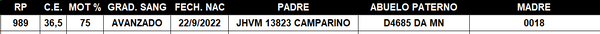 Lote LOTE 46