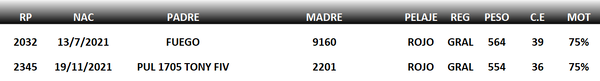 Lote LOTE 62