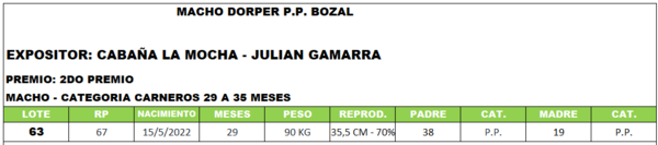 Lote LOTE 63