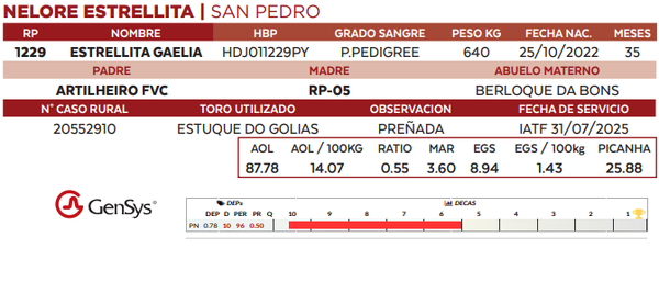 Lote LOTE 35