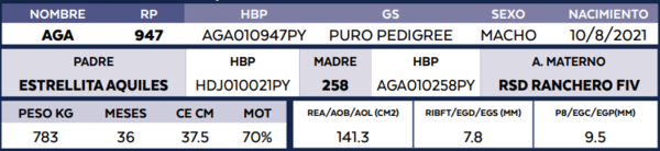 Lote LOTE 9