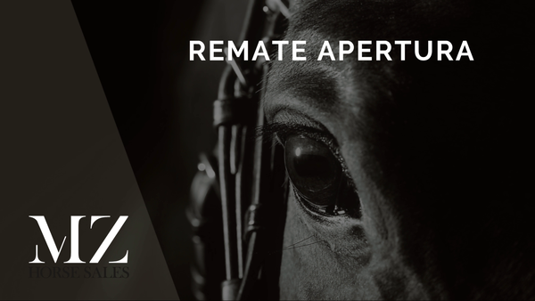 Lote MADAME MORA (LUJO MORO -  RAQS MORA)