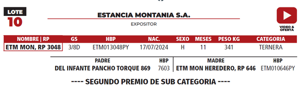 Lote LOTE 10
