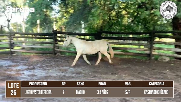 Lote LOTE 26 DE CAMPO