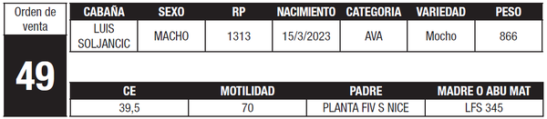 Lote LOTE 49