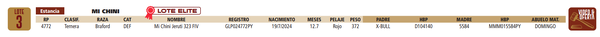 Lote LOTE 3