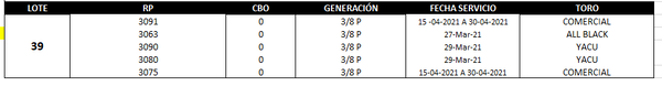 Lote Reproductores de Alborada - Lote 39