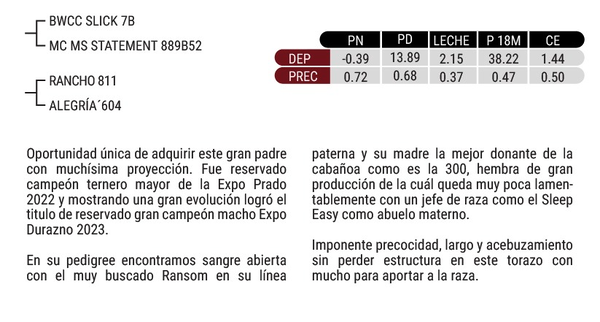 Lote "Cabaña Jacarandá" Jacarandá Br Ransom 6