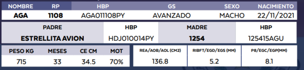 Lote LOTE 22