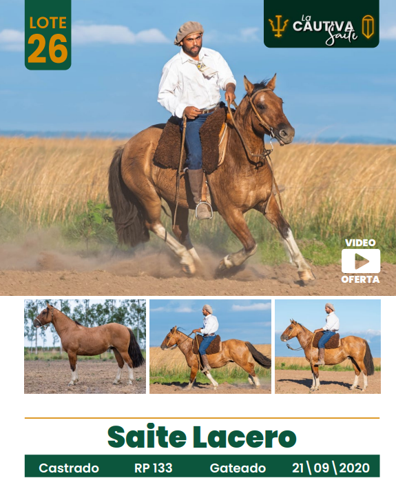 Lote LOTE 26
