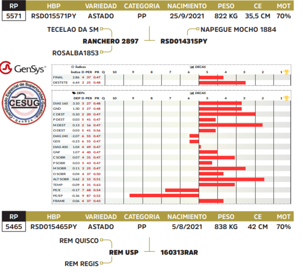 Lote LOTE 17