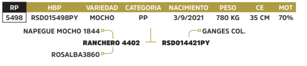 Lote LOTE 32