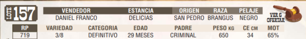 Lote LOTE 157 - EN VIVO