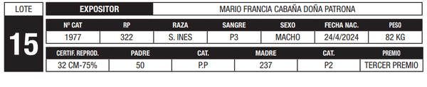 Lote LOTE 15