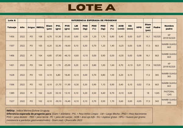 Lote (Vendido)Carneros a remate en Subasta Online - Nambi Guasu, Lavalleja