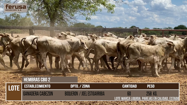 Lote ESTANCIA CABEZON  - LOTE 6