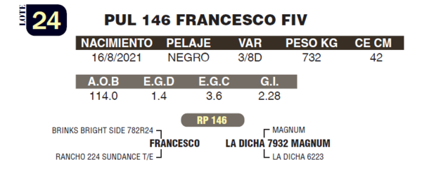 Lote LOTE 24