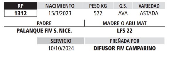 Lote LOTE 8