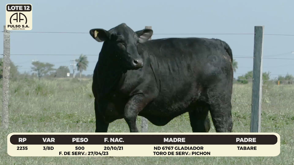 Lote LOTE 12
