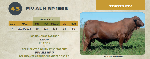 Lote LOTE 43