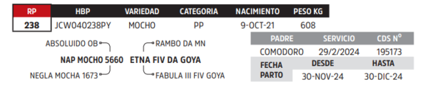 Lote LOTE 76